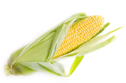 Fresh Corn (10 Pieces)