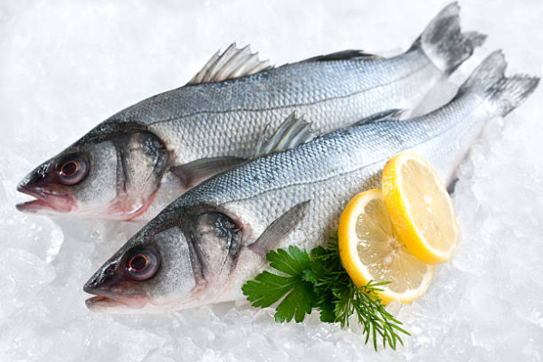 Fish Frozen Shina (Single)