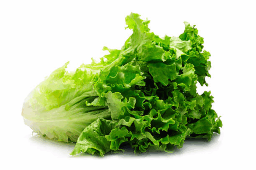 Lettuce (1 Bunch)