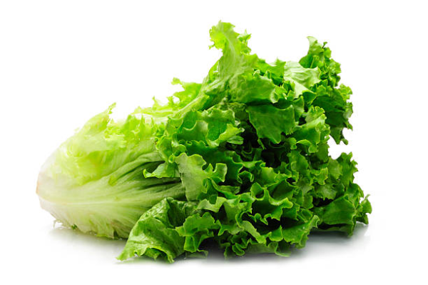 Lettuce (1 Bunch)
